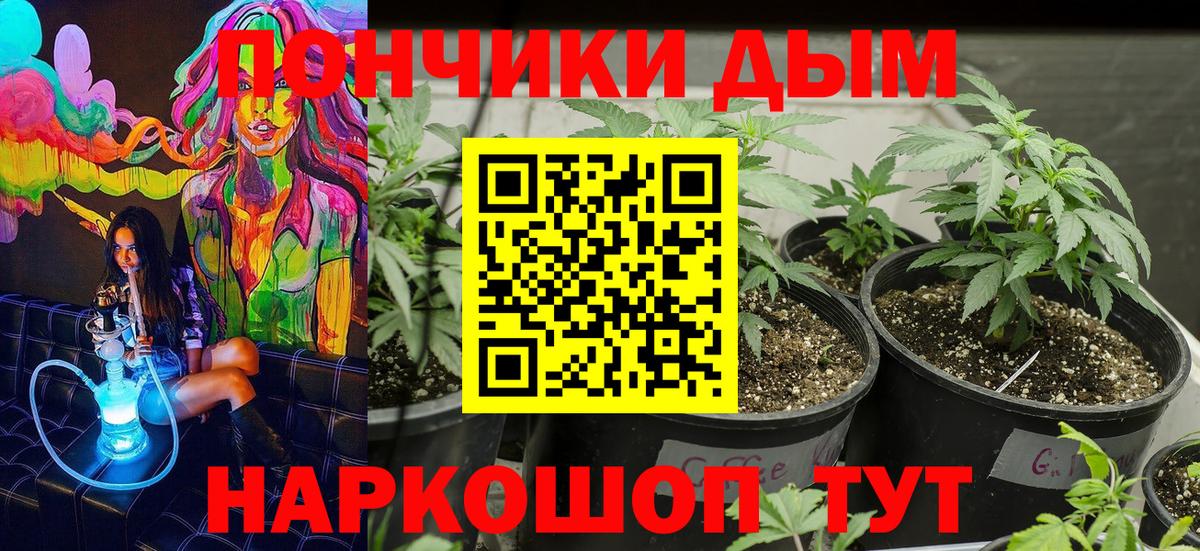 Каннабис конопля Протвино